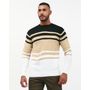 Chompa-Hombre-Jhair-Beige-Botanico-M
