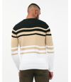 Chompa-Hombre-Jhair-Beige-Botanico-M